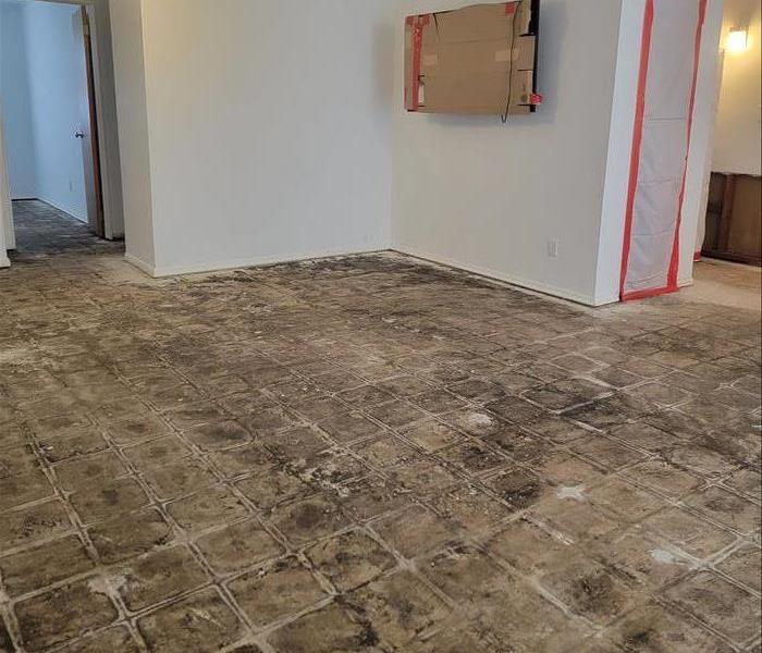 Water Damaged Floor