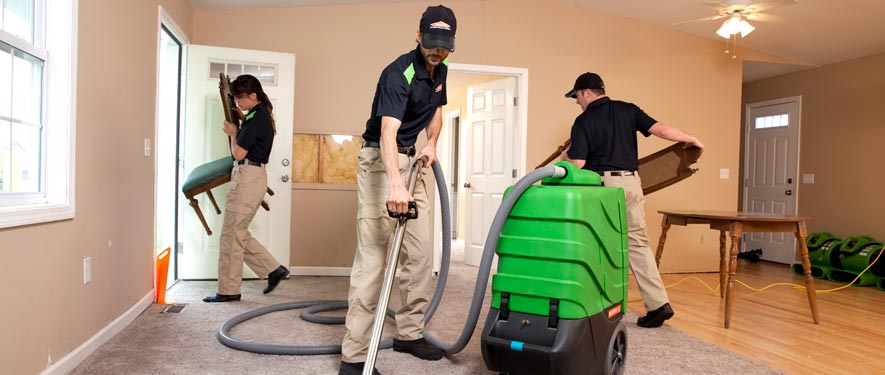 Springfield, NJ cleaning services